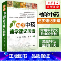 [正版]袖珍中药速学速记图谱 常用中药饮片400余种 总结特征鉴别口诀 常见中药饮片 中药饮片鉴别知识大全 中医学入门