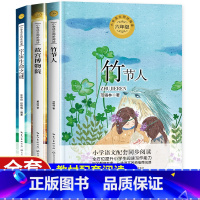 全套3册 [正版]竹节人六年级上册课外书必读全套3册老师经典文学小学语文配套同步阅读书故宫博物院书宇宙生命之谜6狼牙山五