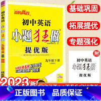 23新版:英语-译林版[提优版] 九年级下 [正版]2023恩波小题狂做提优版英语九年级下 初中语文数学英语物理小题狂做