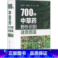 [正版]药草识别与应用图典图谱大典700种中草药野外识别速查图鉴 图解中草药大全 中药鉴别图册 中药草野外识别手册 常