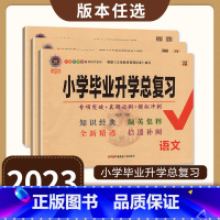 语数+英语[湘少版] 小学升初中 [正版]2023版小学毕业升学总复习语文数学英语湘少版试卷名校招生真题卷小学升初中小考