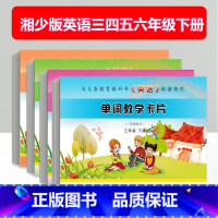 [正版]2023湘少英语教学卡片下册全套3-6年级下册4本三四五六年级下册单词短语卡片湖少版