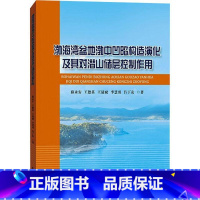 [正版]渤海湾盆地渤中凹陷构造演化及其对潜山储层控制作用 薛永安 渤海湾盆地拗陷构造演化研究渤海 自然科学书籍