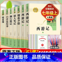 全套7册-七年级上册必读名著(学校推荐版全册) [正版]白洋淀纪事(人民教育出版社)孙犁原著完整版7年级上册初一语文名著