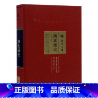 [正版] 湖北通史·宋元卷 章开沅 地方史志 书籍 雷家宏,王瑞明 著 章开沅,张正明,罗福惠 编 历史古籍 文学 华