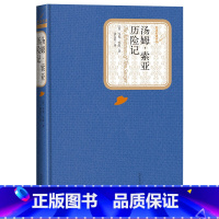 汤姆索亚历险记 [正版]汤姆索亚历险记 马克吐温原著 人民文学出版社世界文学名著 四五六年级青少年中小学生课外阅读书籍