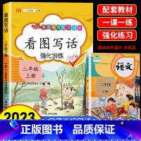 [超划算]包含以上全部 二年级上 [正版]看图写话二年级上下册一二年级每日一练专项训练人教版全套看图小学生写话押题范文同