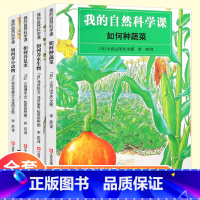 [正版]我的自然科学课全4册如何养小动物昆虫水生物种蔬菜儿童科普绘本故事书3-6-9岁婴幼儿童早教启蒙认知科普书培养观