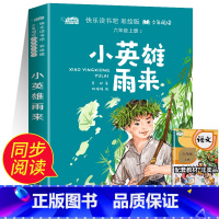 小英雄雨来 [正版]老师小英雄雨来 管桦著 六年级必读的课外书 小学生课外阅读书籍 快乐读书吧上册 适合六年级学生看的课