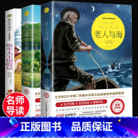 套装3册 [正版]老人与海书四五六年级课外书必读海明威原著原版经典世界文学名著小说故事书 吹牛大王历险记三年级老师书目绿