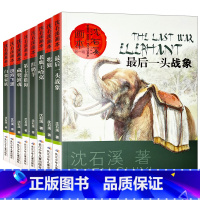 [正版]中外动物小说大王沈石溪的书全系列全集8册画本经典品藏书系后一头战象斑羚飞渡第七条猎狗红奶羊小学生四五六