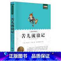 苦儿流浪记 小学生课外阅读 [正版]苦儿流浪记 小学生课外阅读书籍三四五六年级世界经典文学名著 无障碍阅读 小学生课外阅