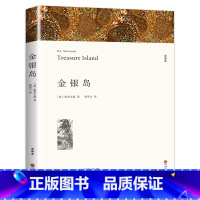 金银岛 [正版]金银岛 斯蒂文森著 原著完整版无删减中文版附插图 成人小学生初中生高中生阅读课外书课外阅读书籍世界经典文