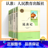 ★[八上全套5本] 红星+昆虫记+寂静的春天+星星离你们有多远+飞向太空港 [正版]红星照耀中国和昆虫记原著八年级上册人