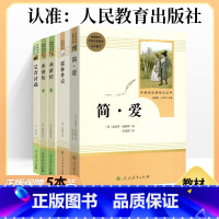 ★[九年级必读5本装]简爱+儒林外史+水浒传全2册+艾青诗选 [正版]朝花夕拾和西游记经典常谈骆驼祥子海底两万里简爱儒林