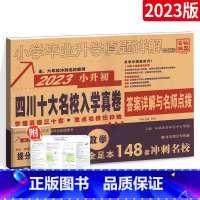 [正版]2023四川专版小升初真题卷总复习 四川十大名校招生真卷 数学试卷 六年级分班考试卷百校联盟小升初系统总复习专