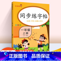 [正版]一年级上册字词训练本 小学一年级上同步字帖语文拼音专项练习册1年级语文同步字帖练字人教版带笔顺看拼音写词语铅笔