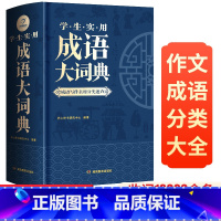 实用成语大词典 初中通用 [正版]2022现代汉语实用词典 学生实用英汉双解大词典 成语大词典 古汉语常用字字典双色版小