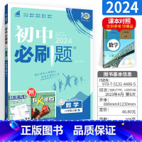 数学 八年级/初中二年级 [正版]初中八年级上数学2024人教版 初二数学同步辅导资料书 初中八年级上册数学同步练习题八