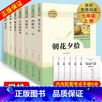 全套7册]七年级上册名著阅读 [正版]送考点导练西游记朝花夕拾七年级上册必读课外书老师全套人民教育出版原著镜花缘白洋淀纪