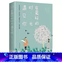 [正版]在好的时光遇见你 暖心情感故事 青春文学言情爱情感校园短篇小说暖心故事集情感散文中国现当代小说都市情感两性小说