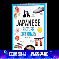 日语图片词典 [正版]英文原版 Learning Japanese Hiragana and Katakana 平假名和