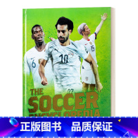 足球百科 [正版]英文原版 The Kingfisher Soccer Encyclopedia 足球百科 2020年版