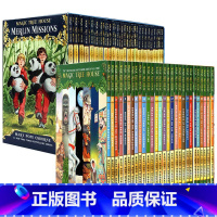 神奇树屋系列套装1-53新版礼盒装 [正版]神奇树屋1-4册 英文原版 Magic Tree House1-4册全套 神