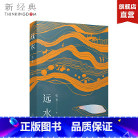 [正版]远水 张者 第十一届庄重文文学奖获得者茅盾文学奖入围作者 中国近现代小说 图书