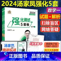 2024汤家凤数学一5套卷 [正版]2024汤家凤5套卷 数学一 考研数学汤家凤强化测试5套卷习题 数一5+5试卷