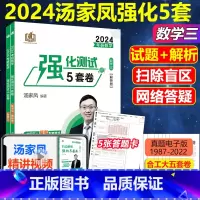 盲点解密强化5套卷数学三 [正版]2024汤家凤5套卷 数学三 考研数学汤家凤强化测试5套卷习题 数三5+5试卷解