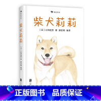 [正版]感恩 柴犬莉莉 灾后忠狗忍饥挨饿苦寻主人 爱与忠诚的故事 儿童动物主题桥梁书