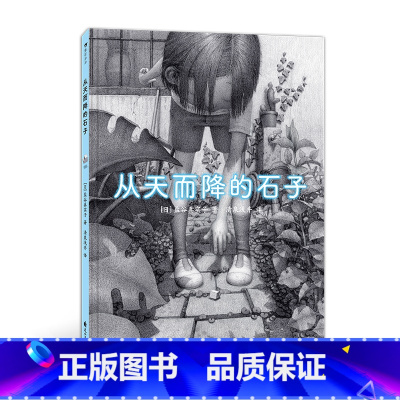 单本全册 [正版]浪花朵朵 从天而降的石子 5岁以上炭笔绘制童年幻想宇宙日本绘本图画故事亲子阅读书籍 童书