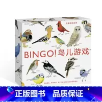 [正版] 宾果系列 BINGO鸟儿游戏 3至6岁儿童读物教辅益智启蒙 互动智力开发 探索与发现书籍