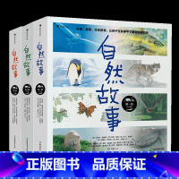 自然故事1-3辑 [正版]浪花朵朵 自然故事任选1-3辑24册第一二三辑 4-8岁儿童科普书籍 动物生活百科启蒙绘本