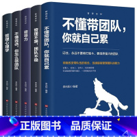 [正版]全5册企业经营管理书籍 企业管理成功法则不懂说话怎么带团队不懂带团队你就自己累管理不狠团队不稳领导力管理心理学