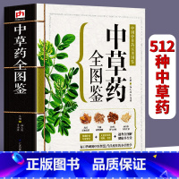 [正版]543页中草药全图鉴 全彩草药实图拍摄 中草药大全中医书籍中医养生速查全图解 常见中草药彩图大全书中药书籍本草