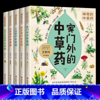 神奇的中草药系列[套装5册] [正版]神奇的中草药 全5册 家门外的中草药 厨房里的中草药 人名里的的中草药 传奇里的