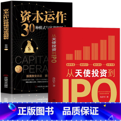 [正版]2册 从天使投资到IPO+资本运作30种模式与实战解析 企业管理类书籍企业融资经济的原理 投资理财市场营销股权