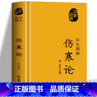 [正版]彩色图解伤寒论 中医经典原版全译注文白对照 中医基础理论知识药材大全书籍 常见病诊断与治疗民间偏方秘方草药知识