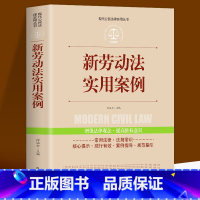 [正版] 新劳动法实用案例 中国法律大全书籍全套实用版 公民法律基础知识 新版 刑法一本通 公司法 劳动法民事诉讼