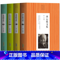 全4册 中国名家散文经典 [正版]散文集经典名家全4册 冰心散文集 老舍散文集 鲁迅选集中国名家散文现当代文学随笔作品集