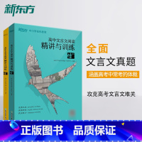 高中文言文阅读:传(上+下) [正版] 高中文言文阅读精讲与训练 传(上+下) 高考语文阅读训练 文言文真题精讲模拟题解