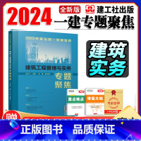 2023新版一建 龙炎飞 考点专题聚焦 [正版]2023新版全国一级建造师 专题聚焦 龙炎飞主 一建 建筑工程管理与实务