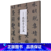 [正版]经典碑帖读解(真草千字文修订版中国美术学院专业基础教学部系列