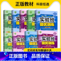 语文RJ人教版 九年级下 [正版]2024春雨实验班提优训练七八九年级上下册语文数学英语物理化学道德与法治政治历史人教版