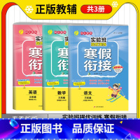 语数英[3本套装] 小学三年级 [正版]2023实验班提优训练寒假衔接三年级语文人教版数学苏教版英语译林版上下学期阅读训