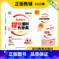 语文 九年级下 [正版]2023春亮点给力提优课时作业本语文九年级下册初三3语文人教版含参考答案附提优小帮手中学教辅延边