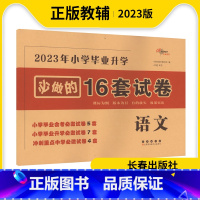 语文 小学升初中 [正版]2023年 小学毕业升学必做的16套试卷语文 小学六年级语文毕业考试卷模拟试卷小学毕业升学总复