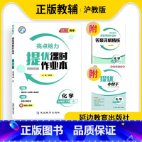 化学 九年级下 [正版]2023春亮点给力提优课时作业本化学9年级下册沪教版基础过关能力拓展延伸探究初三3下初中学习资料